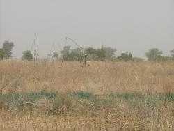 Système d'irrigation dans l'extrême nord