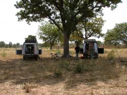 L'ombre bienfaitrice des grands arbres pour le pique nique