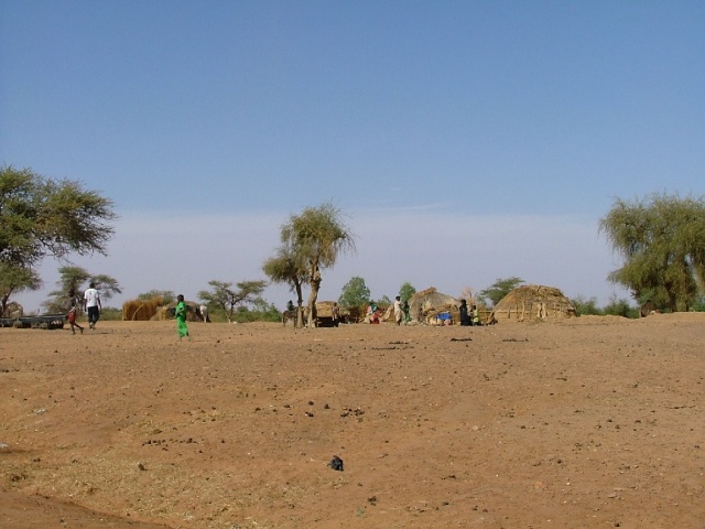 Campement tamasheq