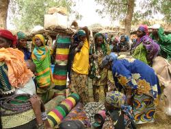 Niger 2004 - KapSud
