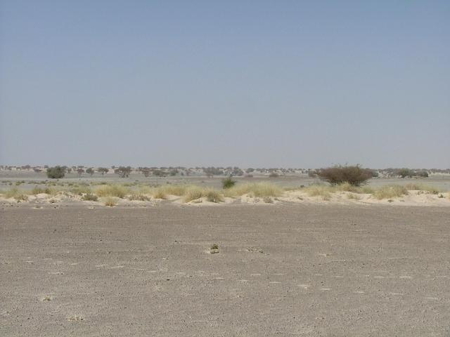Paysage des alentours du lac