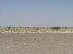 Paysage des alentours du lac