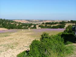 maroc1