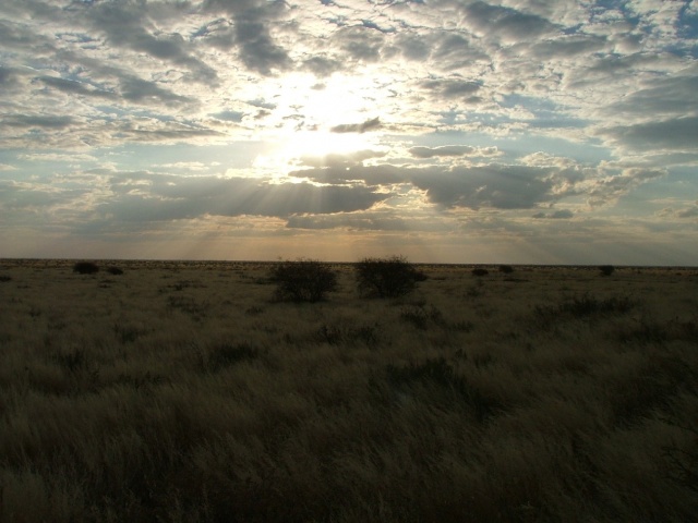 Superbes vues du Makgadikgadi Park