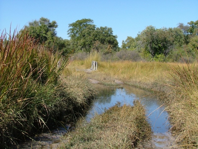 Piste submergée par les eaux, très souvent rencontrée sur notre parcours, les ponts plus rarement