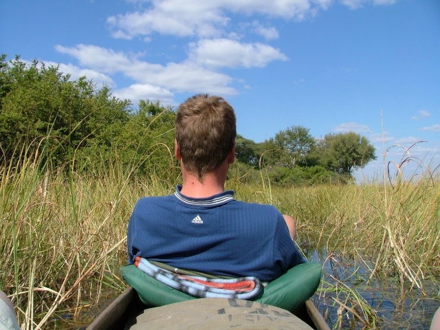 Ballade en mokoros dans les joncs du delta de l'Okavango