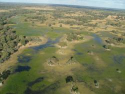 Encore un fantastique paysage vu d'avion : la beauté de ce jardin d'Eden nous émeut jusqu'aux larmes