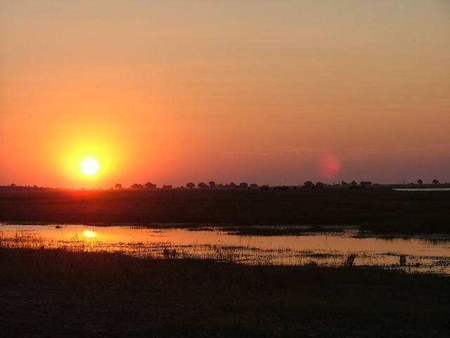 Une vision incroyable au soleil couchant