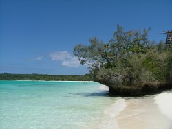 Luengoni, la plus belle plage de Lifou