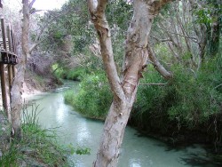 Eli Creek vous entraine vers la mer