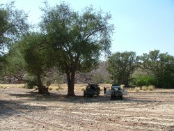 Arrêt pique nique à l'ombre des grands arbres