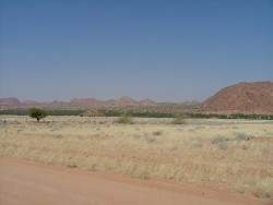 Aux alentours de Twyfelfontein