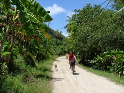Le charme de Maupiti, c'est l'absence de voiture : on en fait le tour à vélo