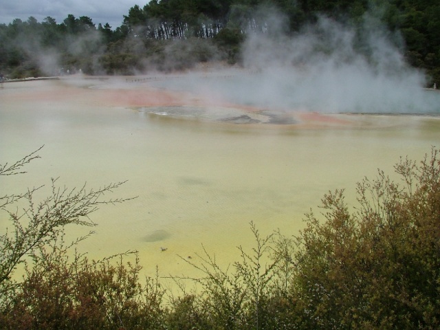 Champagne pool aux couleurs délirantes
