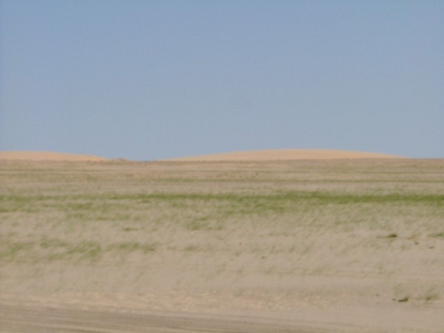 Les prairies du désert