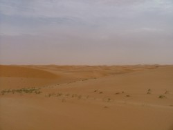 Dunes à perte de vue