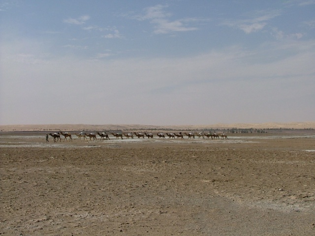 La caravane à Tichit